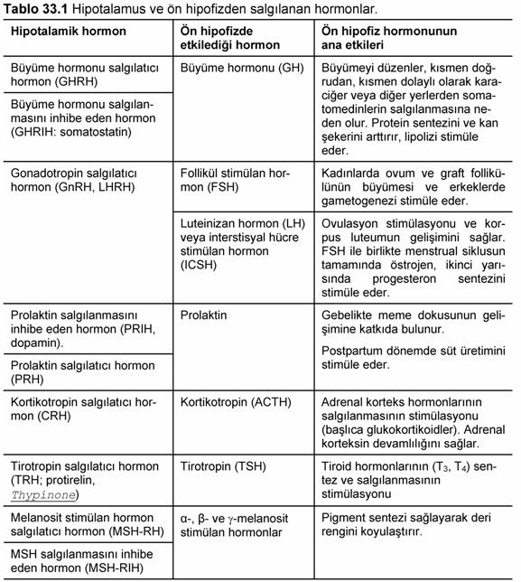 Hipotalamus ve hipofiz Metabolizma, gelişme ve üreme gibi vücut fonksiyonları hipotalamus ve hipofizde bulunan endokrin sistemler tarafından kontrol edilir. Hipofiz bezi 0.6 gramdır.