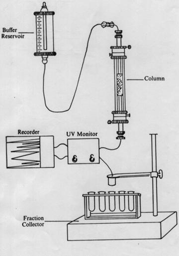 Kolondan çıkan fraksiyonların otomatik olarak belli hacimlerde toplandığı ve absorbsiyonlarının ölçüldüğü