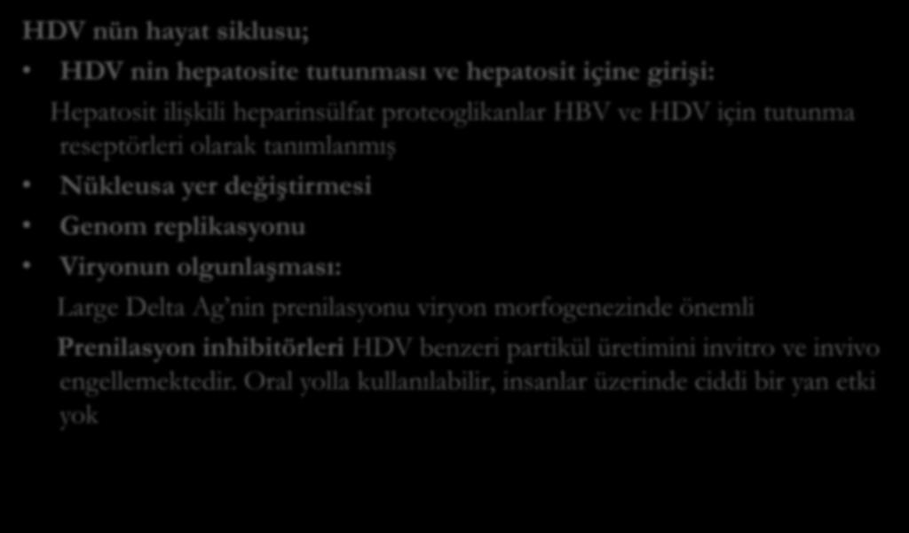 HDV nin hayat siklusuna etkili ajanlar: HDV nün hayat siklusu; HDV nin hepatosite tutunması ve hepatosit içine girişi: Hepatosit ilişkili heparinsülfat proteoglikanlar HBV ve HDV için tutunma