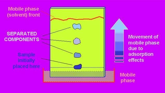 İnce Tabaka Kromatografi (Thin Layer Chromatography-TLC) İnce tabaka kromatografisi, bir "katı-sıvı adsorpsiyon kromatografisidir.