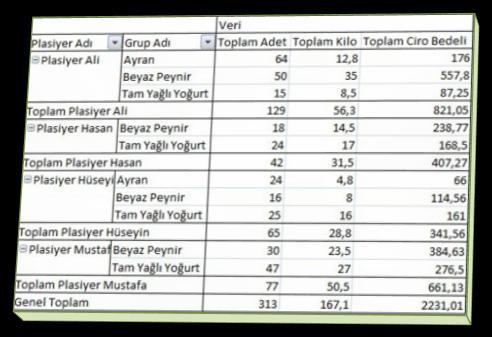 Plasiyer SatıĢ Raporu(Excel