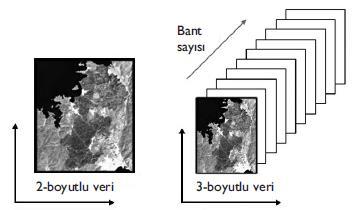 parlaklık değerlerini içeren bir matristir.