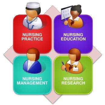 Hemşireliğin Standart Alanları Nursing P ractice Nursing E