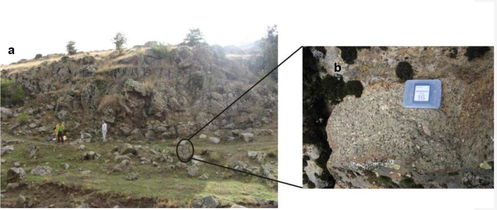 The lava dome that contains plenty of large biotite mineralls (Sarıoglu Plateu, East of Serban, Sample AD2). b) The close view of the large biotite minerals from the same lava dome.