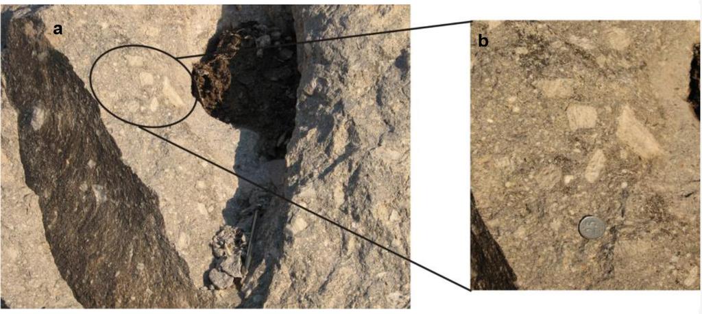 Figure 6. Large sanidine phenocrystals from northwest of Serban (Sample AD8). b)the close view of the same sanidine minerals. sonucunda, 12 örnekten mikroprop yapılmasına karar verilmiştir.