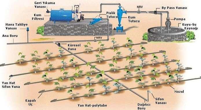 3. Damla sulama: ise toprakta köklerin yayılış sahasına delikli borular döşenerek yapılır. Su israfı yok denecek kadar azdır.