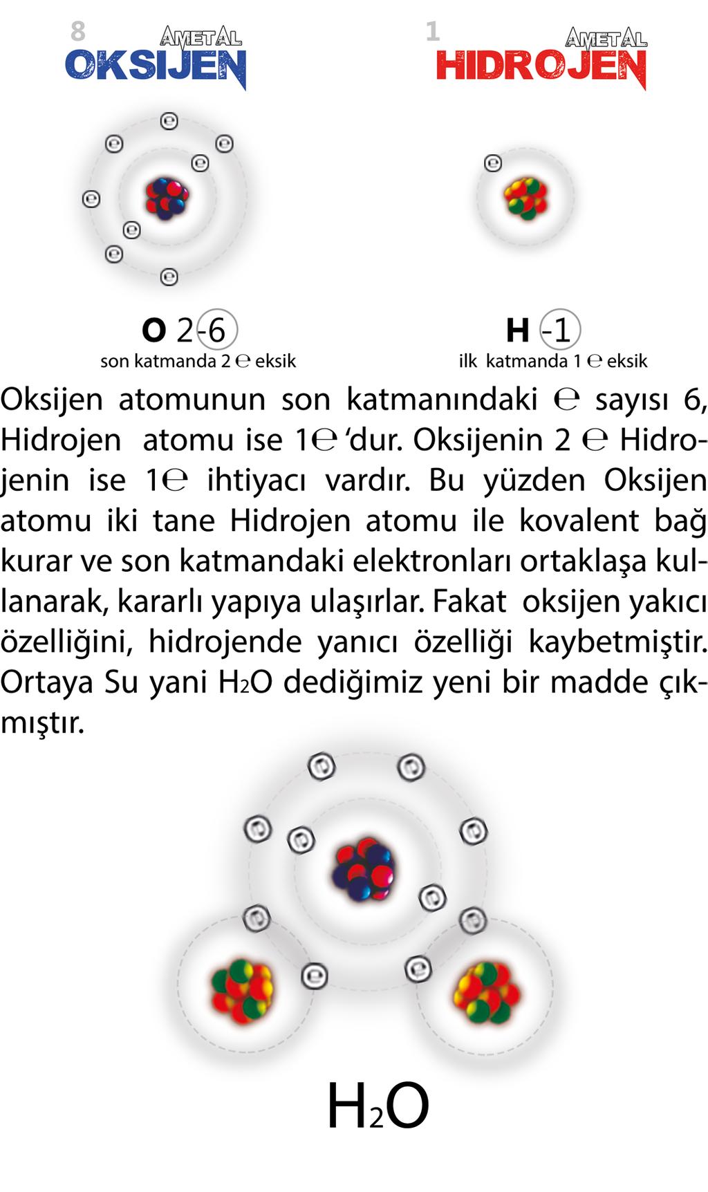 elektorlarını ortaklaşa kullanırlar.