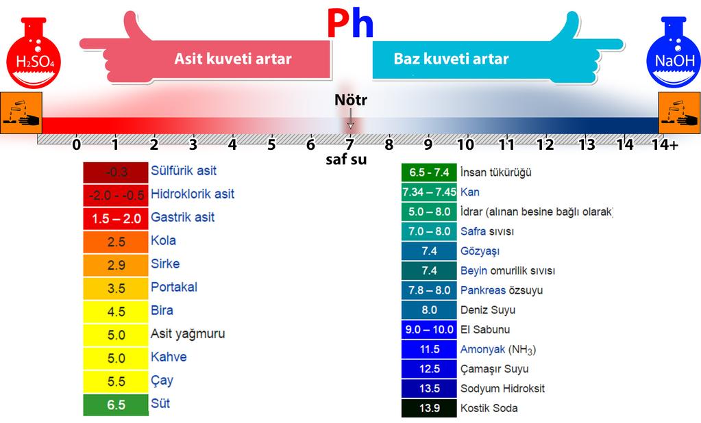 ASİTLER VE BAZLAR 4.Bölüm - Asitler ve Bazlar 8.3.4.1.Asit ve bazların genel özelliklerini kavrayarak günlük yaşamdan örnekler verir. 8.3.4.2.