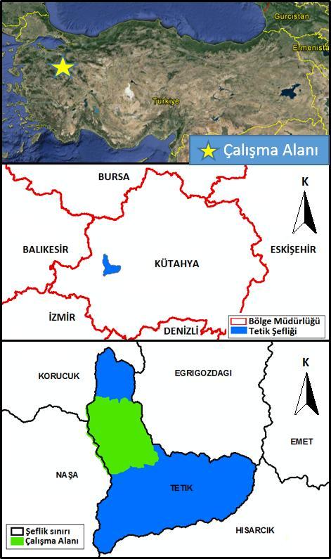 B. ÇİL vd. Son dönemde gerçekleştirilen çalışmalarda ise, Günlü vd.