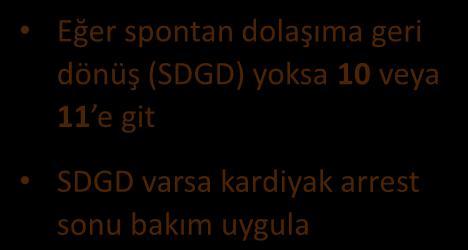 Evet Şok CPR 2 dk Epinefrin her 3-5 dk İleri hava yolu ve kapnografi düşün Şoklanabilir ritim mi?