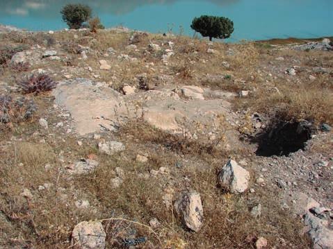 1. Excavations Res. 1 Açma V in bulunduğu alanın 2011 yılındaki durumu Fig. 1 Area of Trench V, as seen in 2011 I.