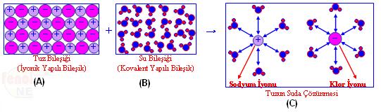 Proje Adı : ÇÖZELTİLERDE AKIM ve DİRENÇ KAVRAMLARININ MODELLERLE GÖSTERİLMESİ PROJENİN AMACI Kimya nın önemli bir konusunu çözeltiler ve özellikleri oluşturur Direnç ve İletkenlik ilköğretim