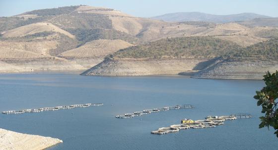 Balıkçılık: Baraj Yerinin Özellikleri Baraj