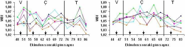 77 (a) (b) V: Vejetatif dönem, Ç: Çiçeklenme dönemi, T: Tane dolumu-hasat dönemi Şekil 4.