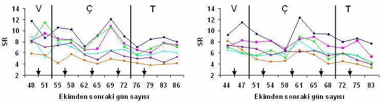 79 (a) (b) V: Vejetatif dönem, Ç: Çiçeklenme dönemi, T: Tane dolumu-hasat dönemi Şekil 4.