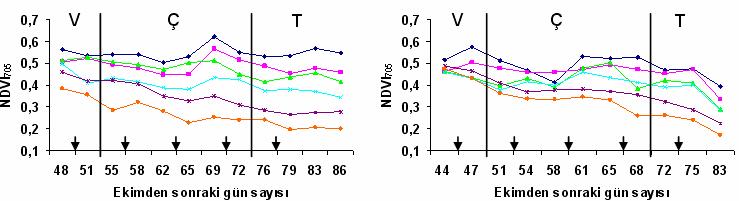 75 (a) (b) V: Vejetatif dönem, Ç: Çiçeklenme dönemi, T: Tane dolumu-hasat dönemi Şekil 4.