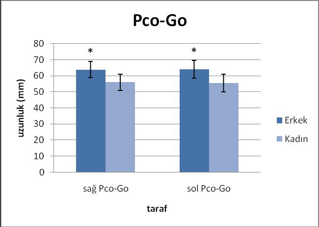 Proc. coronoideus-gonion uzunluğu (Pco-Go) her iki tarafta da erkeklerde daha yüksek saptanmış olup aradaki farkın istatistiksel olarak anlamlı olduğu (p<0,05) bulunmuştur (Şekil 3.18).