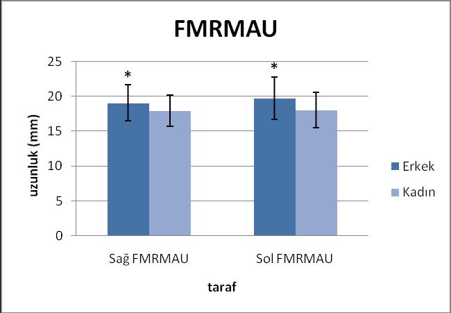 3.1.3. Foramen Mandibulae Bulguları Foramen mandibulae-ramus mandibulae ön kenarı arasındaki uzaklık (FMRMAU) erkeklerde kadınlardan istatistiksel olarak anlamlı yüksek (p<0,05) bulundu (Şekil 3. 30).