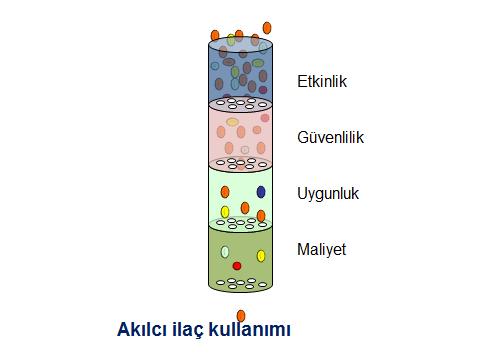 AKILCI İLAÇ KULLANIMI İLKELERİ