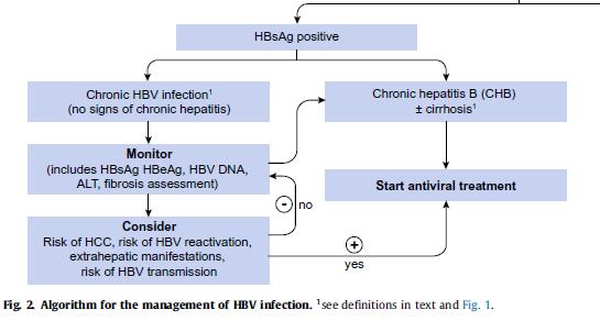 HBeAg poz veya e negatif kronik HBV infeksiyonu var, tipik tedavi endikasyonları