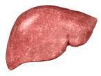 pts with chronic hepatitis C are asymptomatic until serious liver complications arise [2] 1. CDC.
