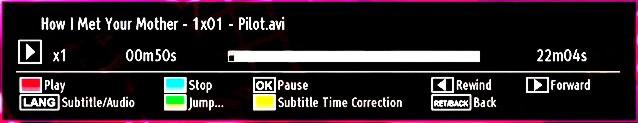 Pause (OK button): Pause the video playback. Rewind ( button): Goes backward. Forward ( button): Goes forward. Subtitle/Audio (LANG. button): Sets subtitle/audio. Jump (GREEN button): Jumps to time.