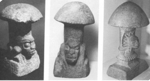 3 ġekil 1.2. Orta Amerika da yaklaģık 3000 yıl öncesine ait mantar bibloları (Smith ve ark.