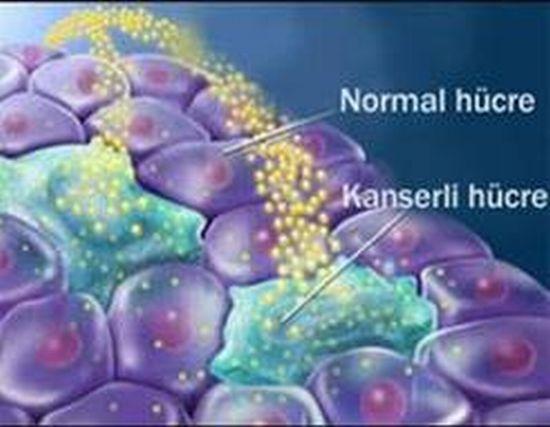 12 2.3. Kanser Kanser, bazı etkenlerle değiģime uğramıģ hücrelerin kontrolsüz olarak çoğalıp büyümesi sonucu oluģan habis hastalıklar grubudur (ġekil 2.1).