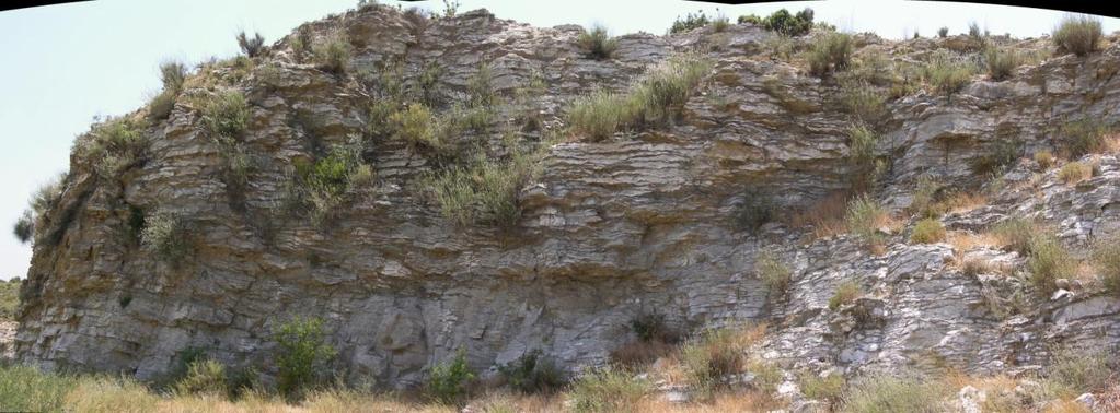 Testa ve Lugli (2000) Ġtalya daki Volterra (Ġtalya) Havzası nda yaptıkları çalıģmada benzer fasiyesteki mikro kristalen, Ģeker dokulu jipslerin oluģumunu açıklamıģlardır (ġekil 3.8).