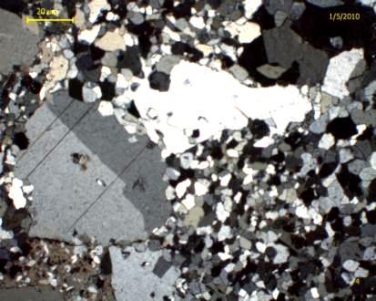 Porfiroblastik dokunun görüldüğü örneklerde ufak kristalli matriks genellikle jips olmakla birlikte karbonat matriks içinde geliģmiģ fenokristaller de mevcuttur.