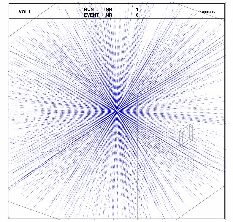 Şekil 5.1 de kaynaktan yayınlanan gama ışınlarının dedektöre çarptığı görülmektedir. Burada mavi çizgiler gamaları göstermektedir.