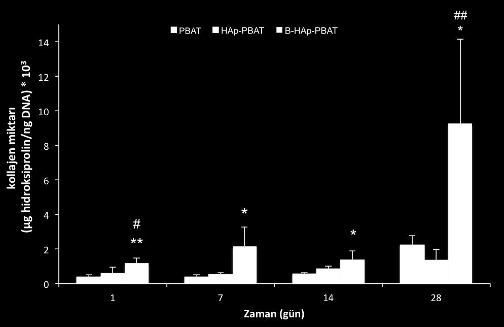 iskeleleri arasındaki fark artarak, PBAT doku iskelelerindeki hücrelerin ALP miktarının yaklaşık 2.2 katına, HAp-PBAT doku iskelesindekilerin ise yaklaşık 7.8 katına çıkmıştır (p<0.001).