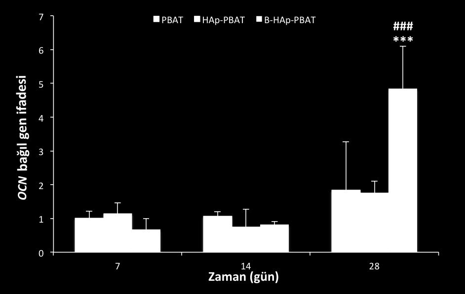 Şekil 4.34. PBAT, HAp-PBAT ve B-HAp-PBAT doku iskelelerinde kültür edilen hbmsc lerin bağıl OCN gen ifadeleri. (İstatistiksel olarak anlamlı farklar: kontrol grubu PBAT iken ***p<0.