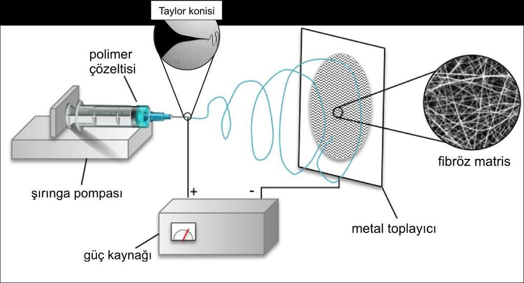 2.2. Elektroeğirme yöntemi Doku iskelesi oluşturmak amacı ile en çok kullanılan bir diğer yapı nanofiberlerdir.