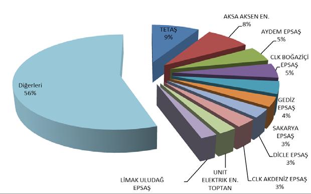 Miktarlarının Şirket Bazında Dağılımı ve İlk 10 Şirketin Payı (%)