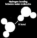 Bunun sonucunda molekülde kutuplaşma meydana gelir. Molekülün bir ucu (+) diğer ucu (-) gibi davranır. Örn su moleküllerindeki O ve H arasında elektronlar eşit olarak paylaşılmamıştır.