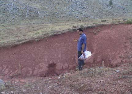 O. Cengiz ve M. Kuşcu e f Şekil 5. (devam) Çalışmalara konu olan terra rossa sahaları. e-f: Körmenlik Yaylası toprakları. Çalışılan terrarossa topraklarının renk analizi yapılmıştır.