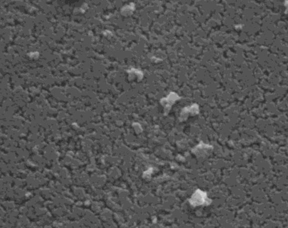 Sorpsiyon, % Yeşil Sentez Yöntemiyle Üretilmiş Gümüş Nanotanecik Yüklü Aktif Karbonun Krom(VI) Giderimindeki Performansının Değerlendirilmesi 211 Aktif Karbon (AK) AgNP-AK 200 nm 200 nm Şekil 1.