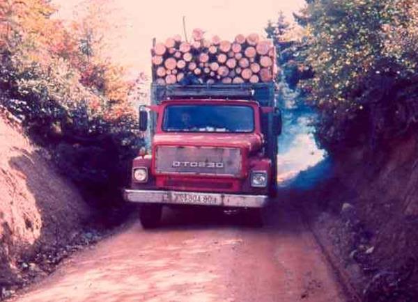 Daha çok kısa tomruk taşımacılığında veya kağıtlık odun, sanayi odunu ve yakacak odun gibi orman ürünlerinin taşınmasında kullanılan bu araçlar iki veya üç akstan meydana gelirler.