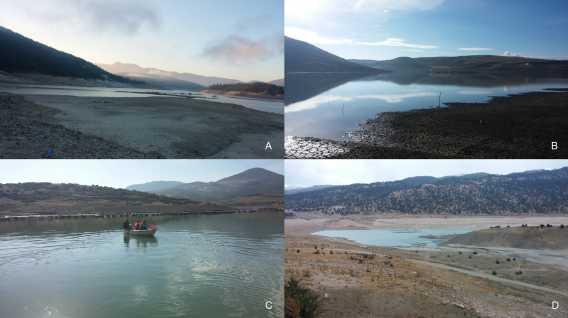 Şekil 3.3. Barajlara ait görüntüler (A) Yapraklı Barajı; B) Osmankalfalar Barajı; C) Çavdır Barajı; D) Çayboğazı Barajı) 3.2. Materyal Scardinius elmaliensis Bogutskaya, 1997 (Şekil 3.