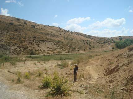 amfibol içermekte, içermiş olduğu mineraller oldukça düzenli bir şekilde dizilerek foliasyon düzlemlerinin oluşumuna neden olmuşlardır.