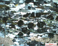Orta taneli muskovit, aktinolit ve epidot minerallerinin yönlü doku içerisindeki görünümü mus 7- Granat biyotit klorit kalsit epidot muskovit şist