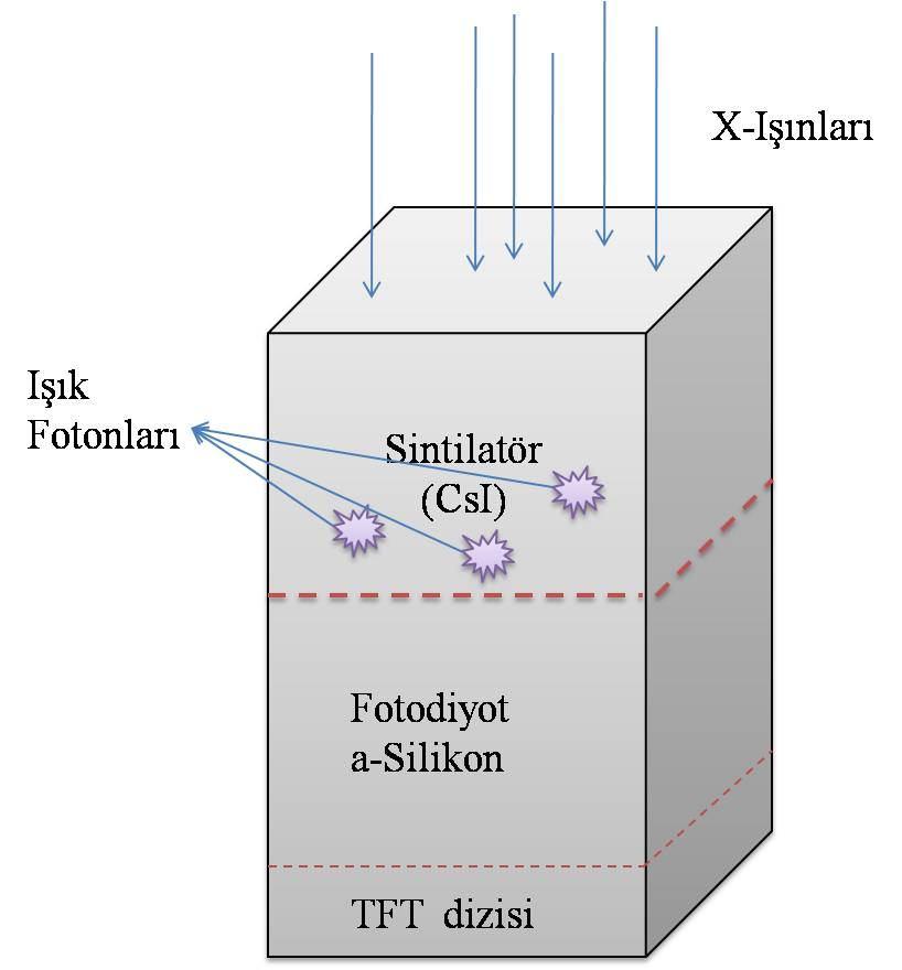 2.2.2.2. Flat panel (düz alan) dedektörleri Farklı dedektör tasarımlarına sahip flat panel dedektörlerde, memeden çıkan x-ışınları dedektöre gelerek burada elektrik yüklerine, daha sonra da dijital