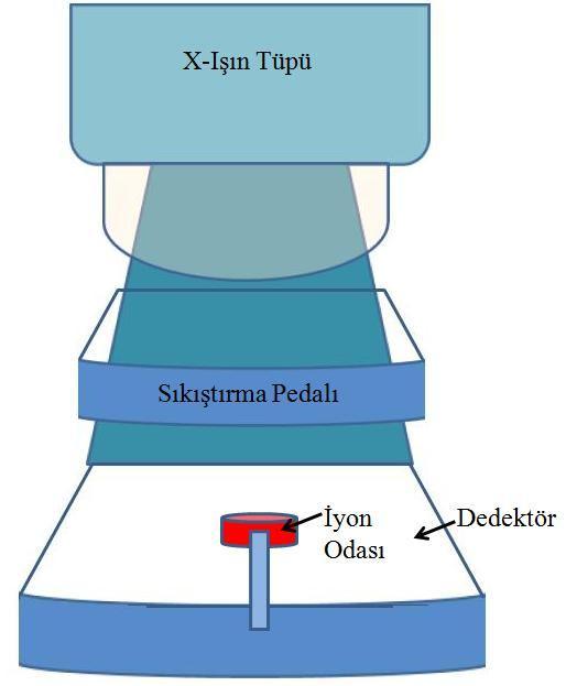 3.1.1.3. Tüp çıkışı testi Tüp çıkışı testi, sistemin kurulan kilo voltaj (kvp), ve mili amper saniye (mas) değerlerine karşılık ışınlama hakkında bilgi sahibi olunmasını amaçlayan bir testtir.