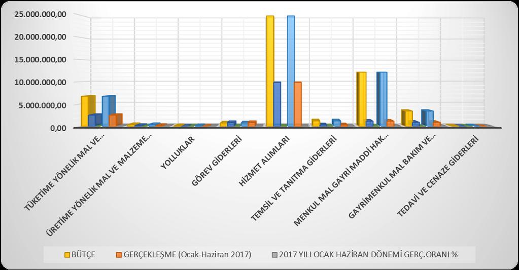 2017 yılının ilk altı ayında 15.897.150,52 olarak gerçekleşen mal ve hizmet alım giderleri içerisinde en önemli payı 9.880.