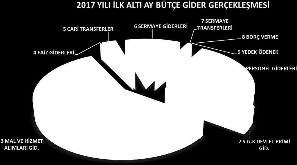 Tablo 2: Ekonomik Sınıflandırmaya Göre 2017 yılı Ocak Haziran Dönemi Bütçe Giderleri EKONOMİK SINIFLANDIRMAYA GÖRE 2017 YILI OCAK-HAZİRAN DÖNEMİ BÜTÇE GİDERLERİ EKONOMİK KODU AÇIKLAMA 2017 YILI BÜTÇE