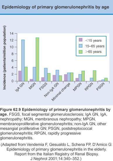 Glomeruler