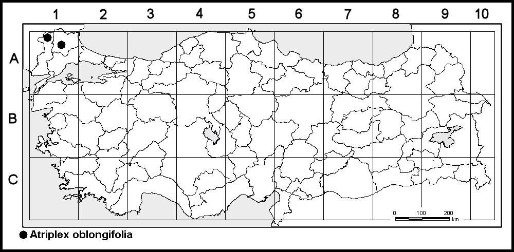 Biological Diversity and Conservation 9 / 1 (2016) 51 027º 25' 54.76'', Başköse-2930 (!); A1 Edirne: Sarayakpınar, Suakacağı köyü, Tunca nehri kenarları, 55 m, 10.09.2014, K 041º 50.659'-D 026º 35.