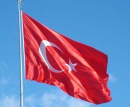Türkiye de Klinik Araştırmalara Bakış, Sorunlar ve