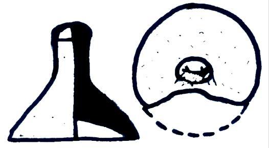 Levha 2 a b c d 5 Troya Gamalı Haç (Swastika) motifli top (a) ağırşak (b),çömlek parçası(c),kapak parçası (d).